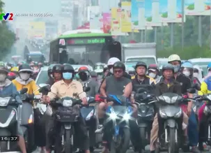 An ninh và Cuộc sống: Cẩn trọng với sâm Hàn Quốc giá rẻ