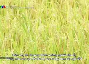 Hello Vietnam - 24/01/2025