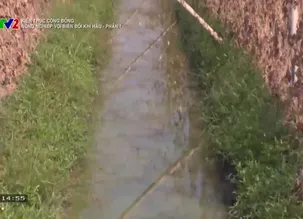 Kiến thức cộng đồng: Nông nghiệp với biến đổi khí hậu - Phần 1