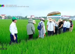 Nông nghiệp xanh: Nhân rộng mô hình sản xuất bền vững