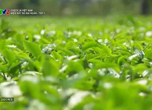 Check in Việt Nam: 	Miền đất đỏ đại ngàn - Tập 1