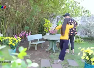 Tiếu Lâm du ký - 01/02/2025