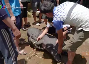 Phim tài liệu: Người cán bộ xã Chế Cu Nha