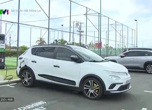 Net Zero - Gửi tương lai - 04/02/2025