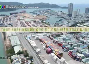 Doanh nghiệp - Doanh nhân: Truy xuất nguồn gốc gỗ chế biến xuất khẩu