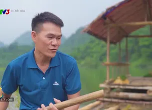 S - Việt Nam - 08/02/2025