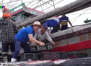 Nông nghiệp xanh: Thu hút đầu tư