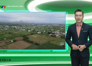 Hành trình Net Zero 2025 - Số 5