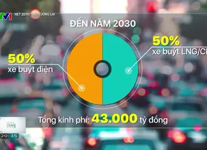 Net Zero - Gửi tương lai - 11/02/2025
