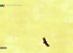 Sách hay thay đổi cuộc đời - 13/02/2025