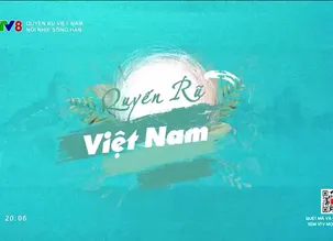 Quyến rũ Việt Nam: Nối nhịp sông Hàn