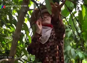 Tạp chí Dân tộc và Phát triển - 14/02/2025