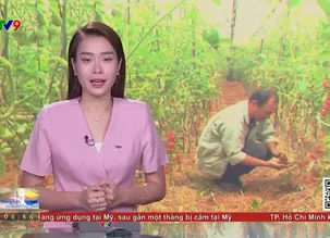 Sáng Phương Nam - 15/02/2025