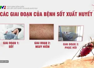 Hành trình sống khỏe: 	Mắc sốt xuất huyết khi đang mang thai