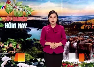 Tây Nguyên hôm nay: Buôn Ma Thuột - Nơi hội tụ tinh hoa cà phê