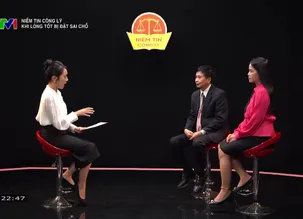 Niềm tin công lý: Khi lòng tốt bị đặt sai chỗ