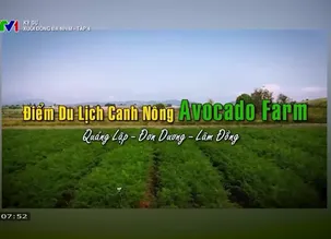 Ký sư: Xuôi dòng Đa Nhim - Tập 4