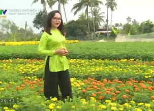 Thương nhớ miền Tây: Ngọt ngào vị cũ nét xưa