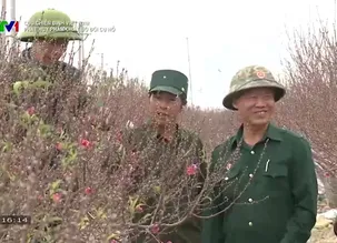 Cựu chiến binh Việt Nam: Phát huy phẩm chất bộ đội cụ Hồ