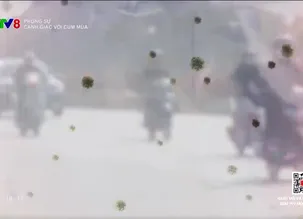 Phóng sự: 	Cảnh giác với cúm mùa