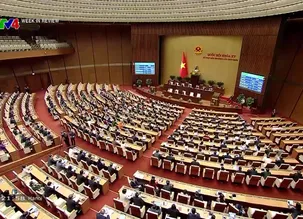 Week in Review - 22/02/2025