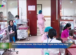 Sống mới - 23/02/2025