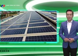 Hành trình Net Zero 2025 - Số 7