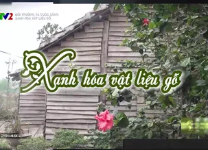 Môi trường và cuộc sống: Xanh hóa vật liệu gỗ