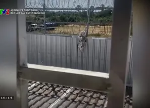 An ninh và Cuộc sống: Bẫy lừa đảo xuyên quốc gia