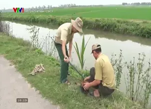 Cựu chiến binh Việt Nam: Hiệu quả từ mô hình 1 cộng 3