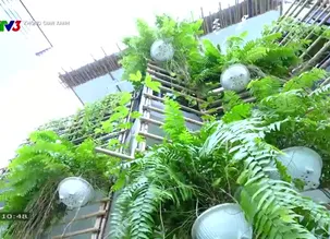 Không gian xanh: Kiến trúc sư Nguyễn Hồng Ngọc