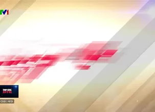 Nhịp sống ô tô - 02/3/2025