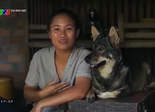 Gia đình đẹp: Trang hoàng nhà cửa