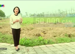 Sự kiện và bình luận - 08/3/2025