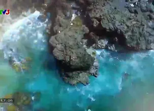 S - Việt Nam - 08/3/2025