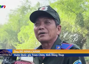 Phóng sự: Để bếu trở về