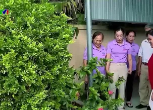 Vì một tương lai xanh - 10/3/2025