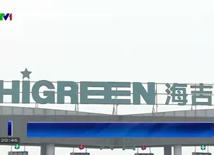 Phóng sự: Để sầu riêng Việt Nam tiến sâu vào thị trường Trung Quốc