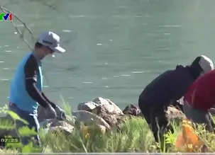 Vì một tương lai xanh - 12/3/2025