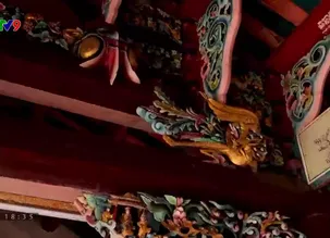 Việt Nam - 365 ngày thú vị - 12/3/2025