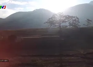 S - Việt Nam - 15/3/2025