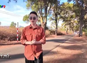 Việt Nam - 365 ngày thú vị - 17/3/2025