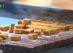 Ký sự: Bến Tre - Ký ức những bóng dừa - Tập 1