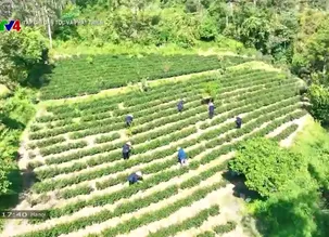 Tạp chí Dân tộc và Phát triển - 21/3/2025