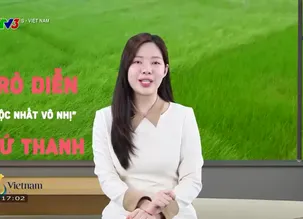 S - Việt Nam - 22/3/2025