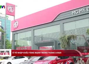 Nhịp sống ô tô - 23/3/2025