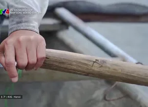 Từ những miền quê: Nhịp sống bên hồ Thác Bà