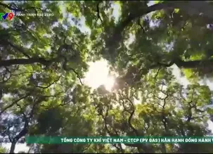 Hành trình Net Zero 2025 - Số 10