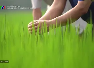 Ánh sáng tri thức: 	Tri thức trẻ đưa nông nghiệp vươn xa