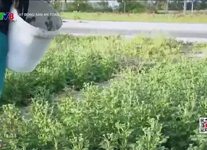 Bất động sản an toàn: Quảng Nam khơi thông nguồn lực đất đai